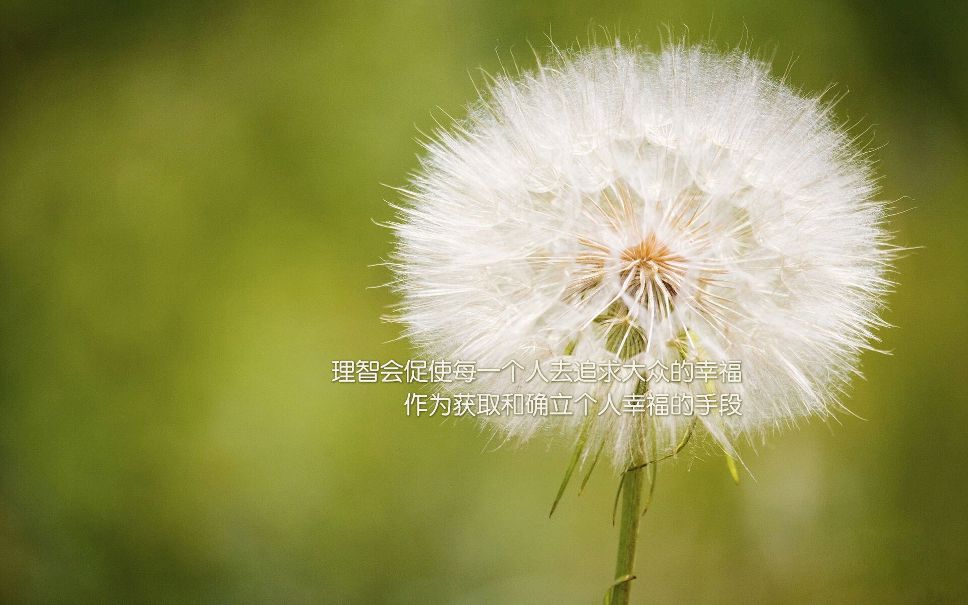 LOL赛事解说风格：分析不同解说的特点与风格，lol赛事解说能赚多少钱