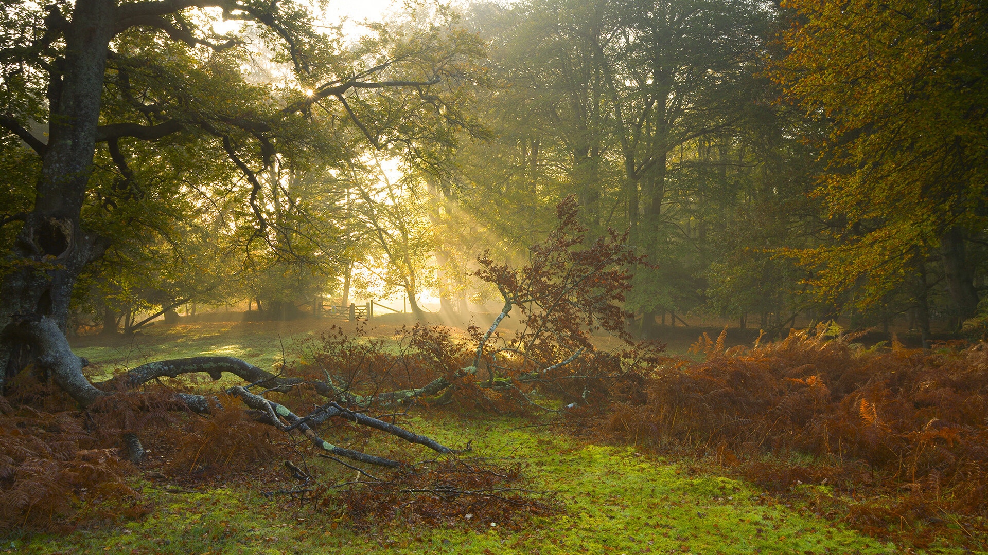 _快船队迎接新挑战,战术日益成熟_,快船队百度百科
