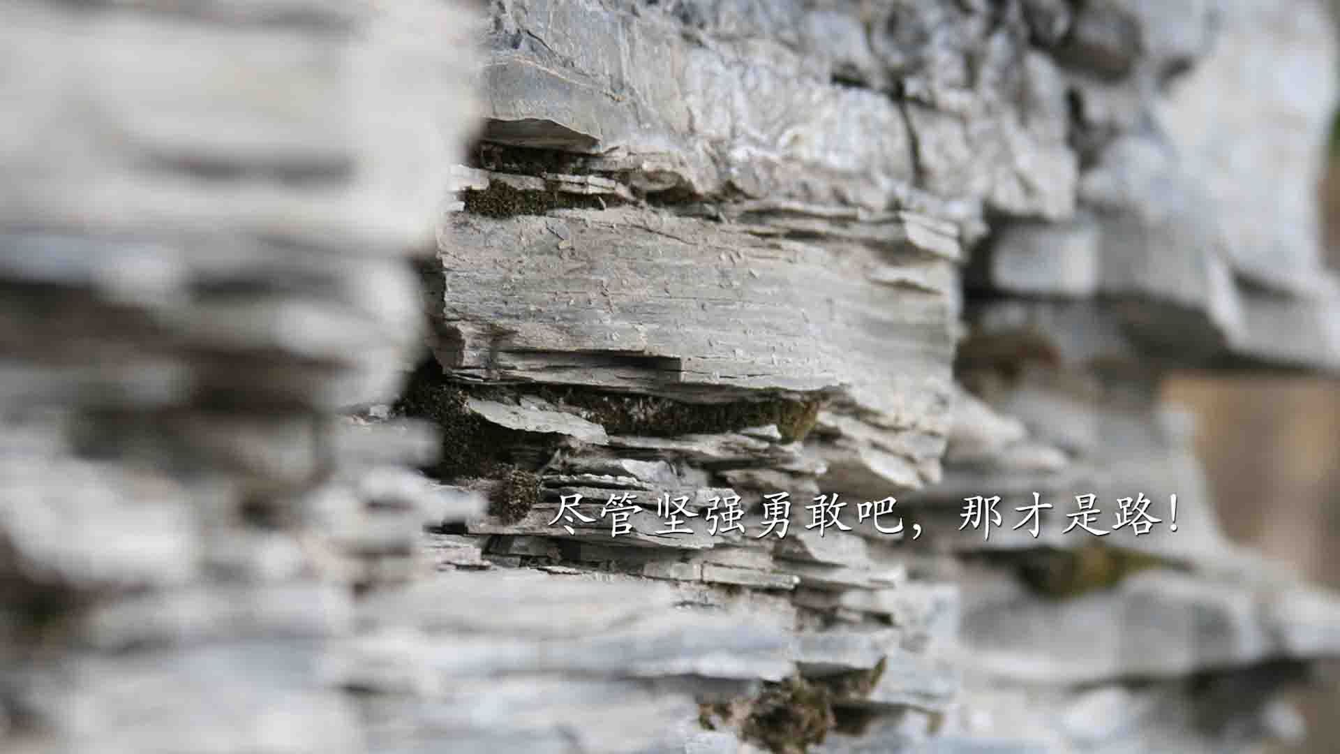 _快船队通过团队协作取得胜利_,快船队全称