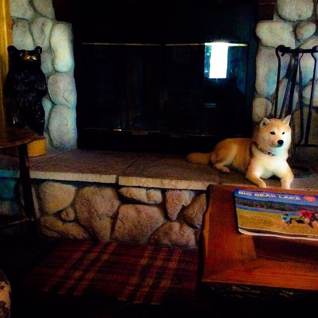 _运动员生活揭秘：训练、休闲与健康管理_，运动员训练日常