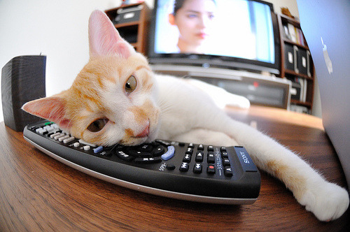 “未来之星：全国青少年足球明星大赛全面启动”，2021足球未来之星