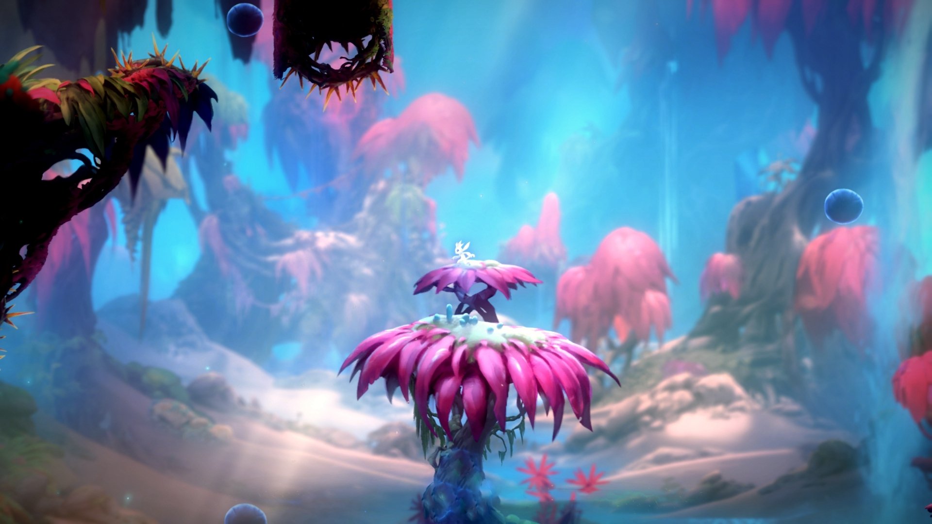 “未来之星：全国青少年足球锦标赛激烈厮杀”，未来少儿足球俱乐部