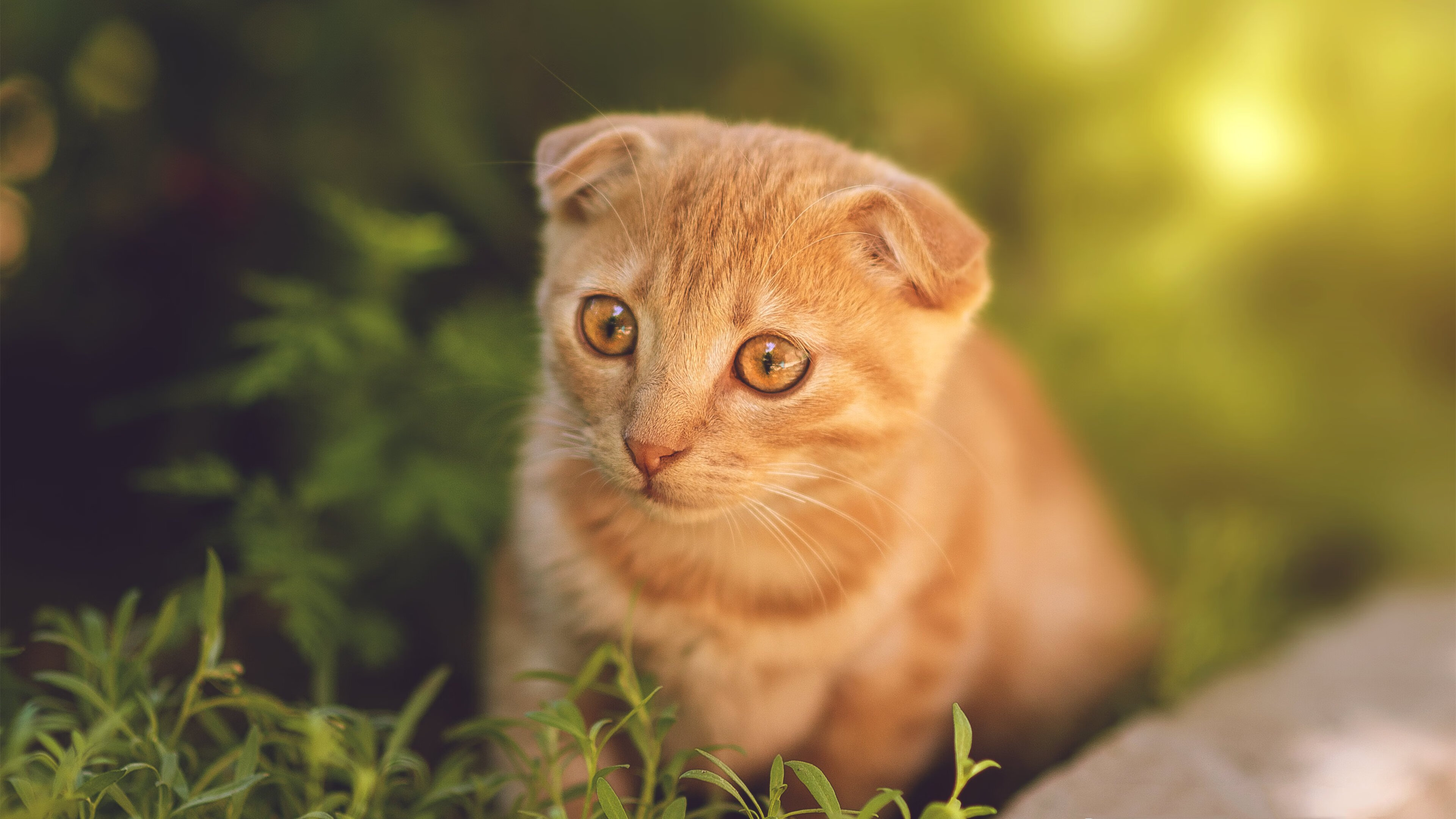 【冠军赛事】奥沙利文：长时间比赛中的心态调节，奥沙利文比赛大全