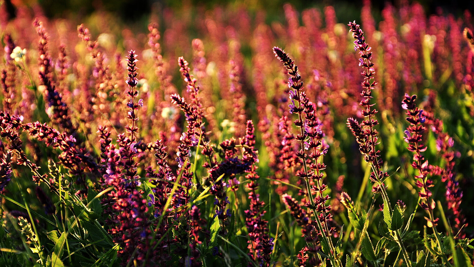 体育+文化创新：青少年“篮球音乐节”在广州盛大举办，广州市青少年运动会篮球比赛