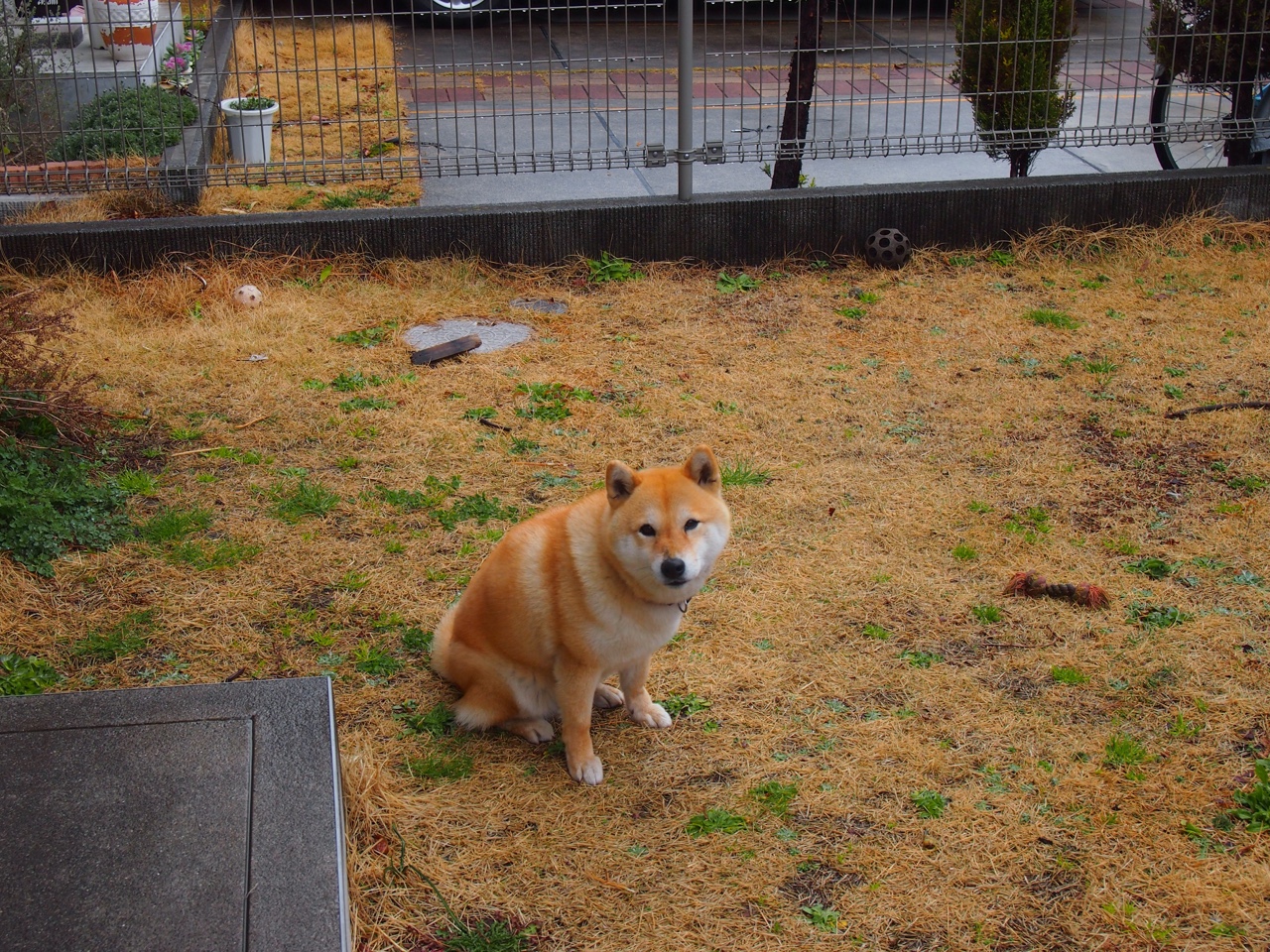 印度政府加大对体育的投入,推动青少年体育发展计划。,印度政府提出了什么战略构想