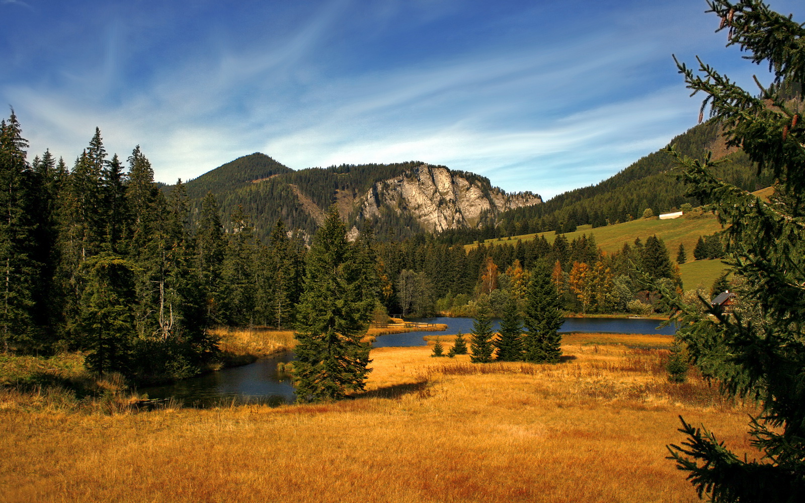 杨楷文在“湾区杯”象棋大棋士赛中成功卫冕,杨楷文 围棋
