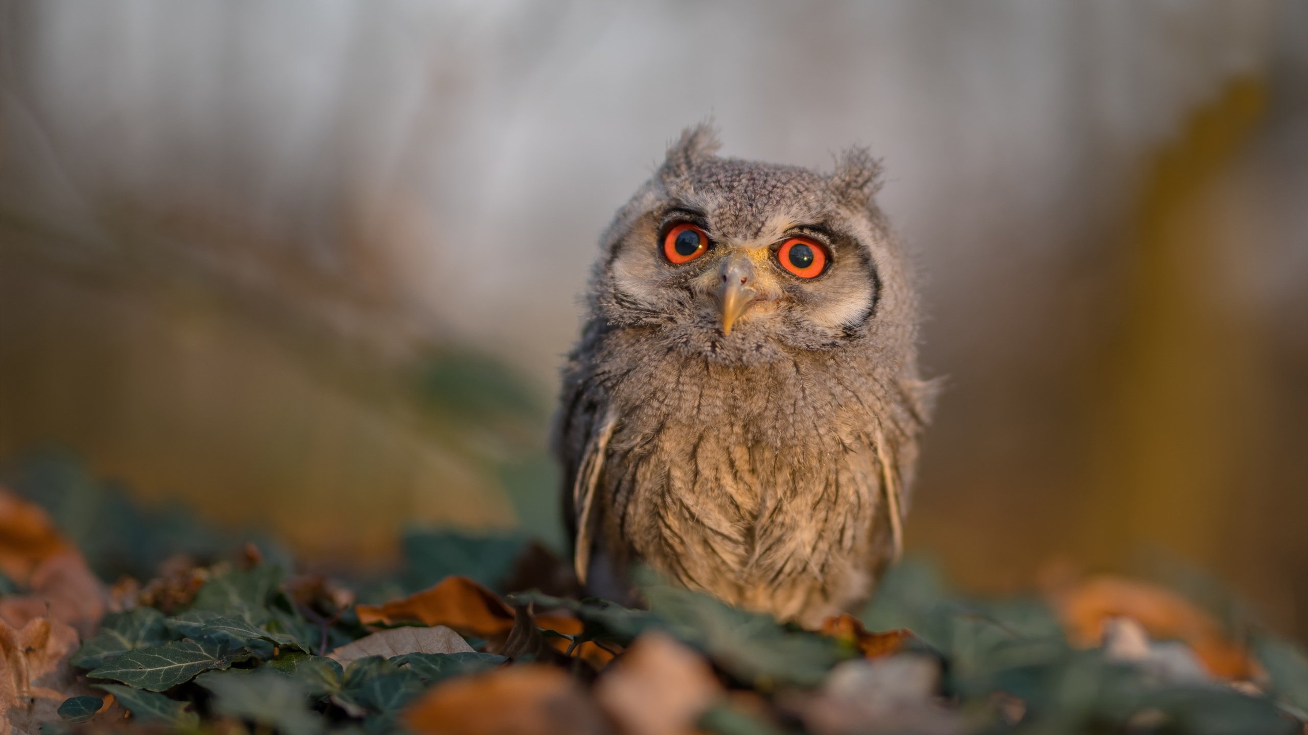 电竞企业年度大会顺利举办,行业大佬齐聚一堂,电竞行业大事