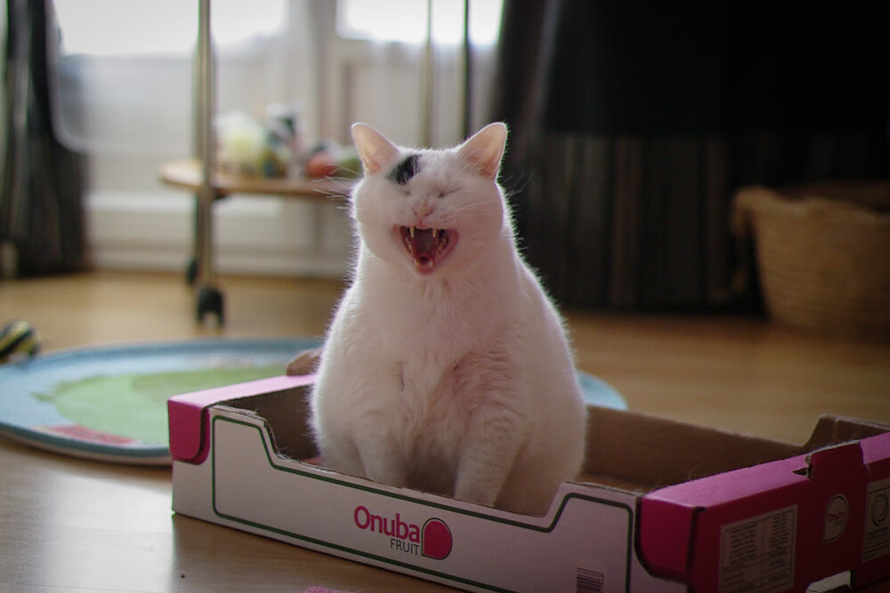 纪录打破者:今年谁有望超越“历史大师”?,打破 纪录