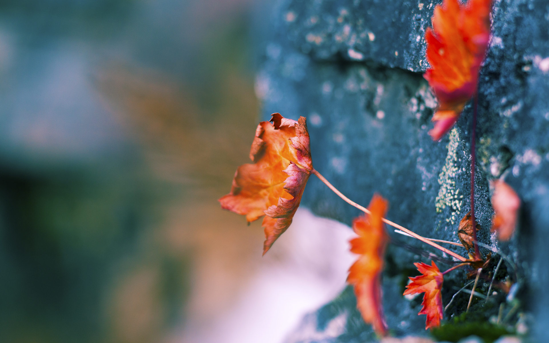 利物浦胜拜仁，锁定半决赛资格，利物浦胜拜仁,锁定半决赛资格了吗