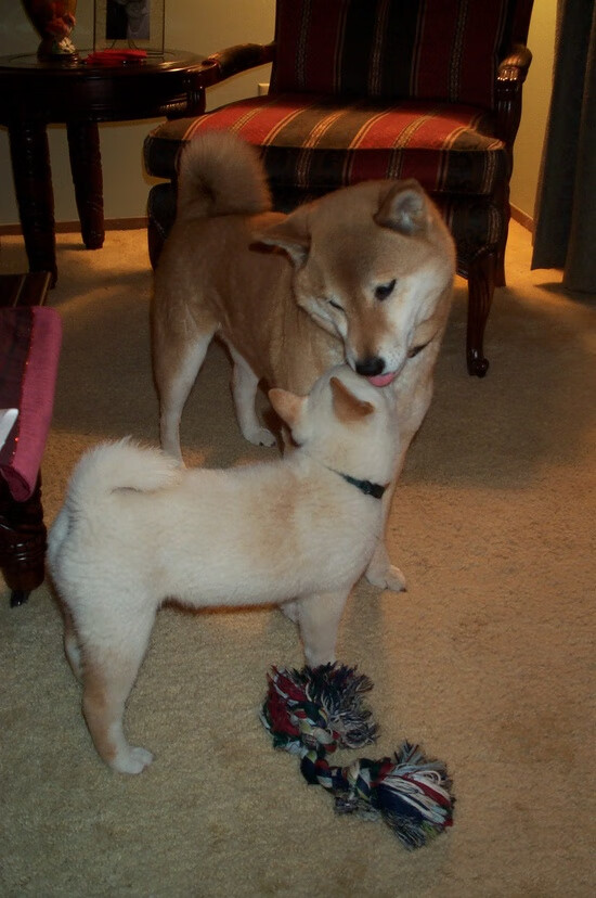 斯图加特球员集中训练，备战下场比赛，斯图加特青训