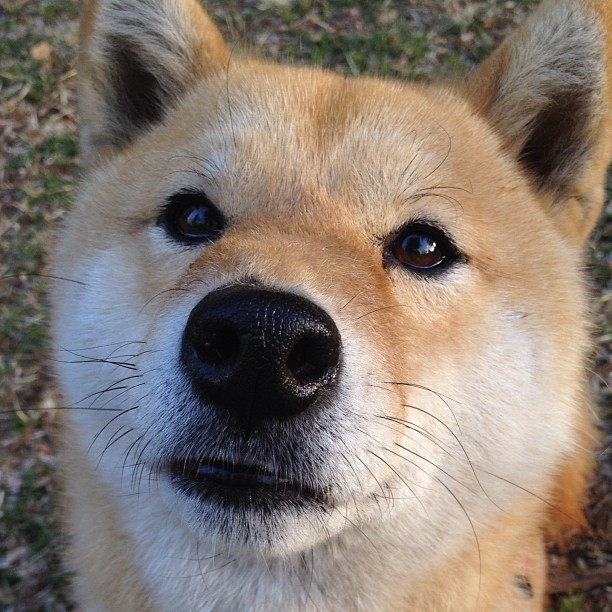 美网男单决赛德约封王,20冠传奇再添新章,美网男单决赛技术统计