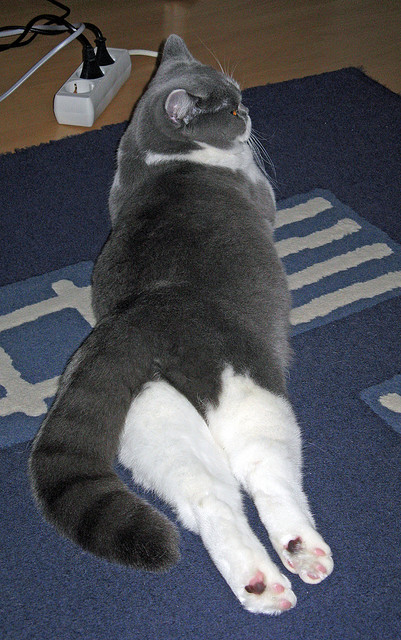 羽毛球混双组合世界排名第一，羽毛球十大混双组合