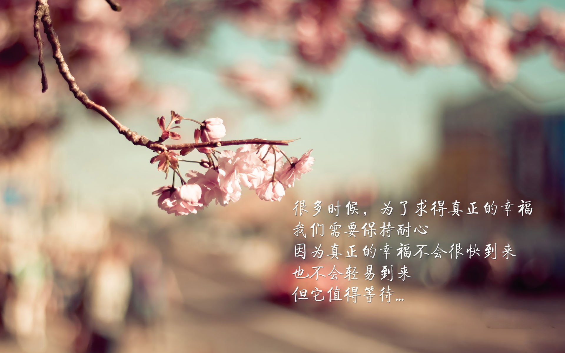 NBA球员心理适应性训练方法探讨,nba球员生理反应