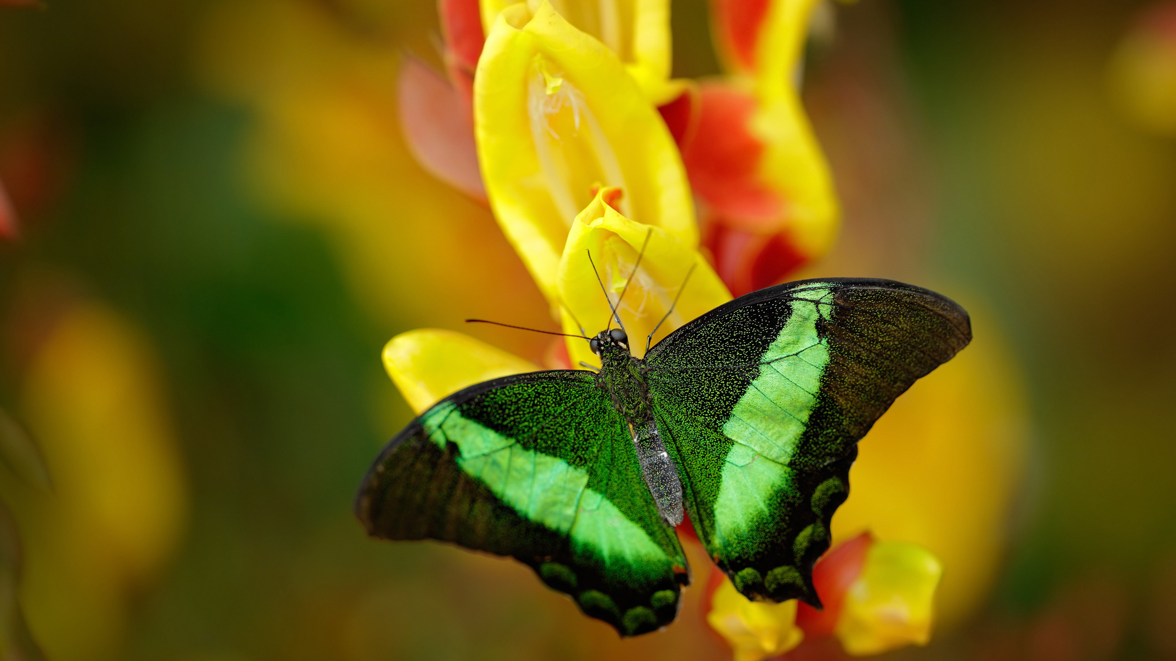 中国足球比赛边路进攻手段分析，足球边路进攻的战术配合基本方法