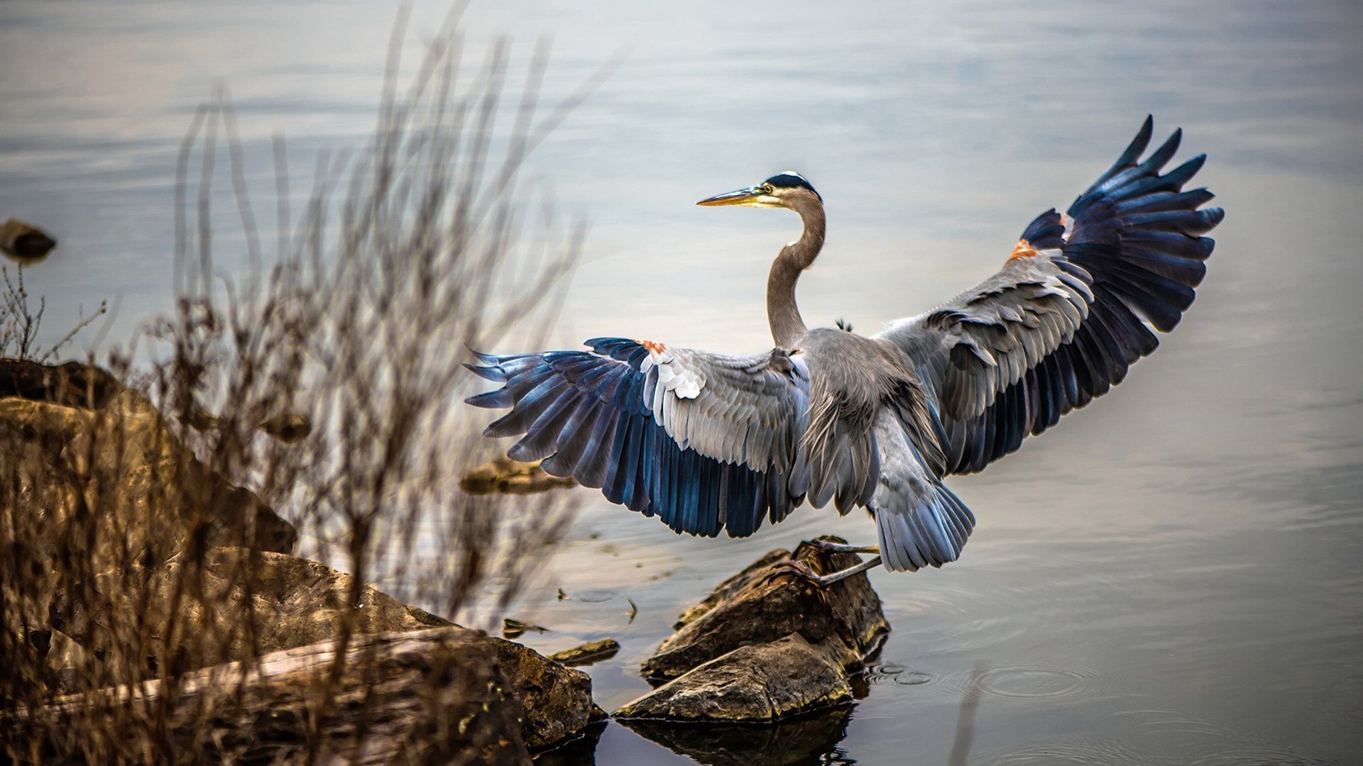 体育赛事数字化管理平台开发实践，体育数字化建设