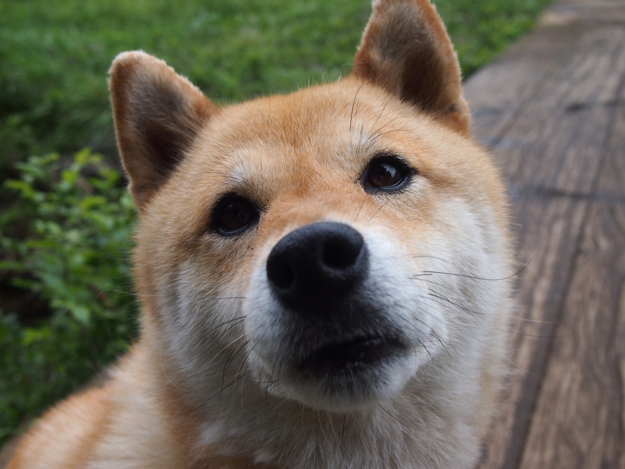 西甲俱乐部粉丝数字画像与商业潜力开发,西甲各队球迷数量