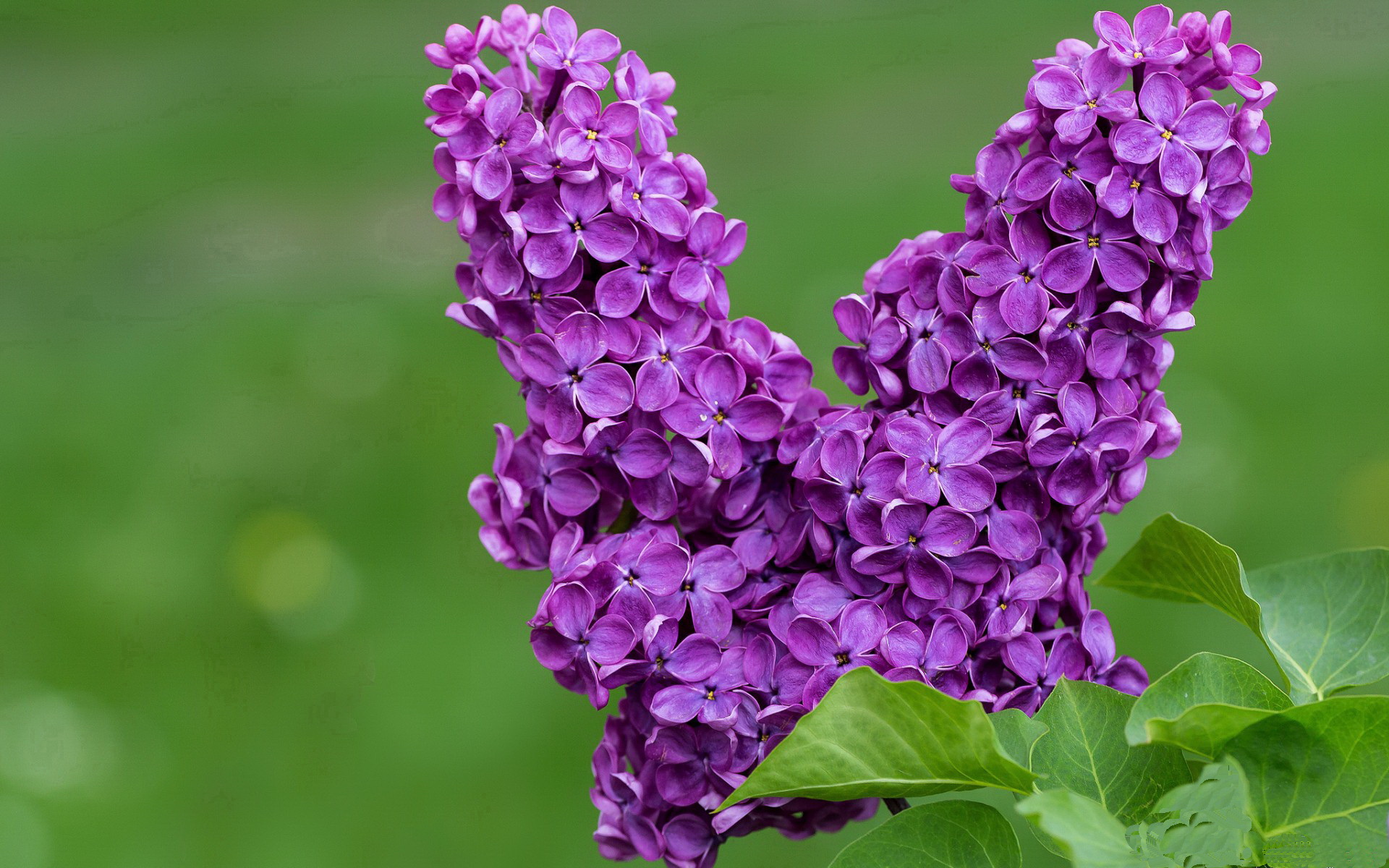 “血与汗的较量,拳击赛四川省体育馆见真章”