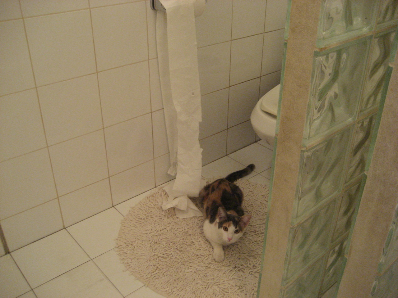 中国女排海外拉练迎战欧洲劲旅，中国女排海外运动员