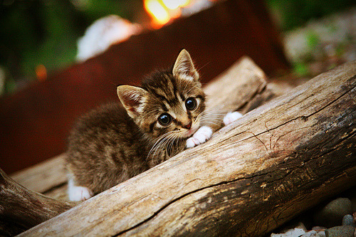 新人频现，中立B女队注入新活力，中立球队