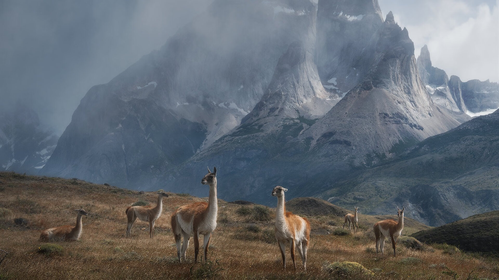 卡萨斯决赛发挥稳定赢得喝彩，卡萨斯大曲