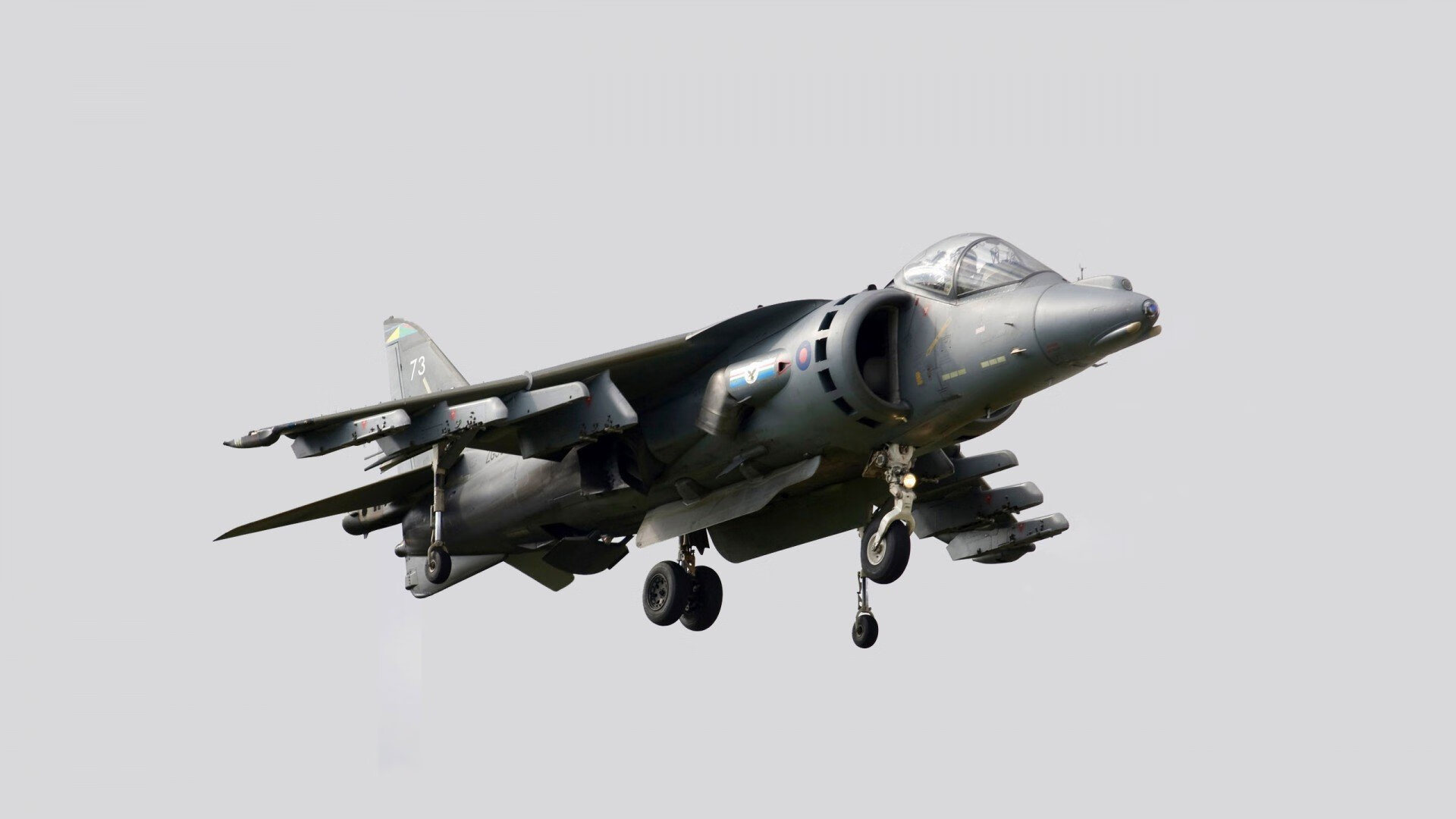 国际篮球日活动扩展至社区,草根参与度显著提升,国际篮球日简介