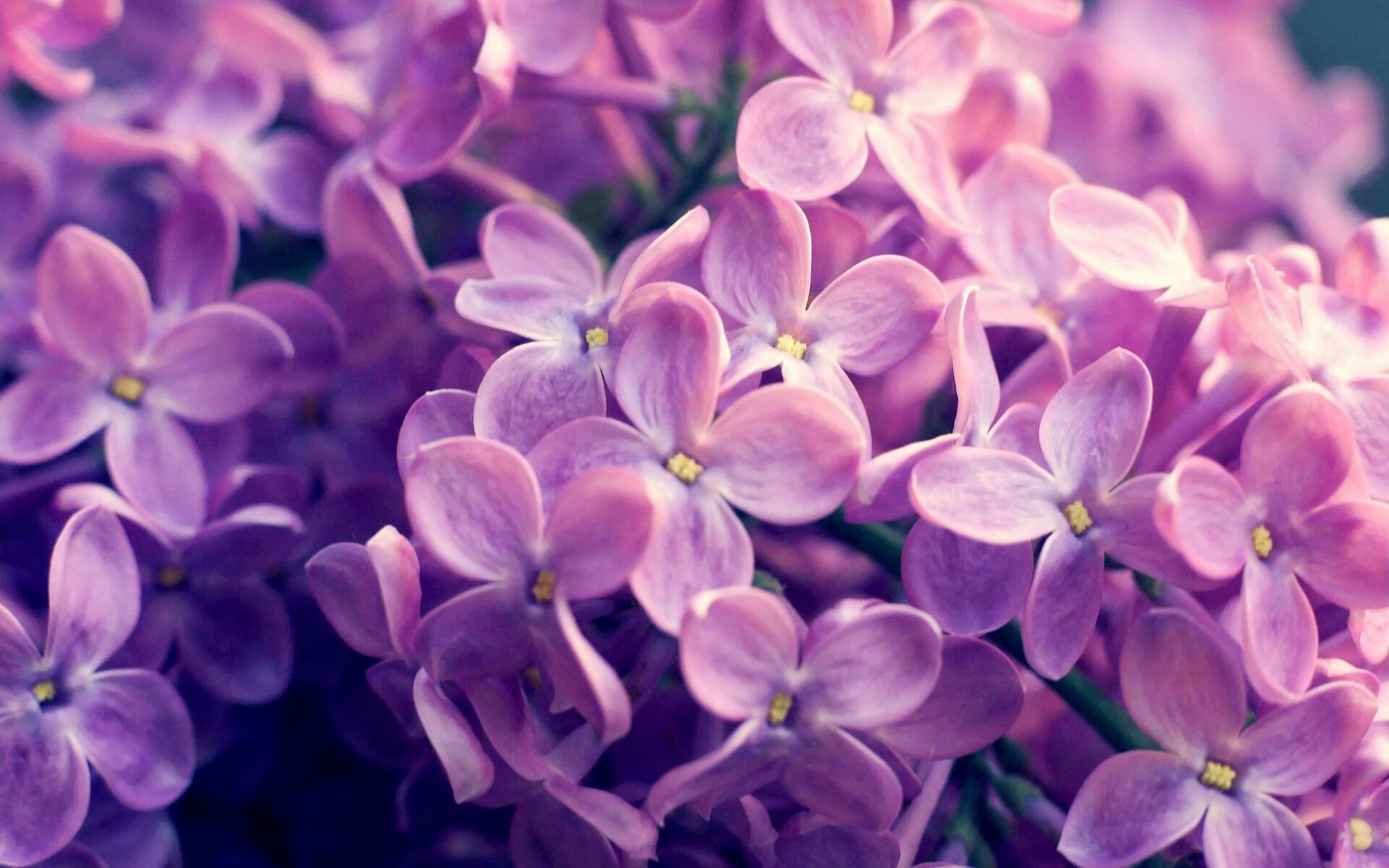 王楚钦强调临场心态左右整场走向，王楚钦状态