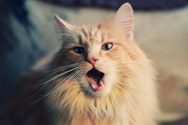 科摩罗男篮在国际比赛中持续奋战，追求突破